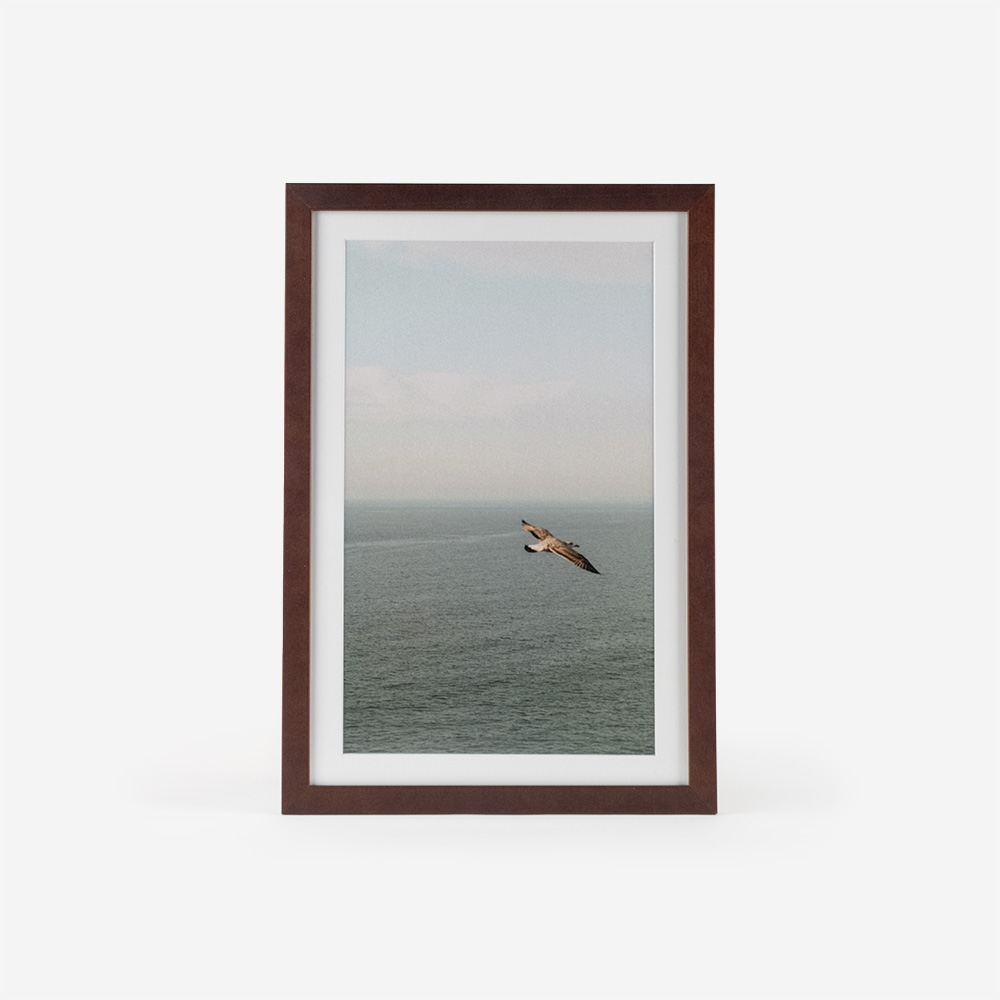 Moldura Essence intro